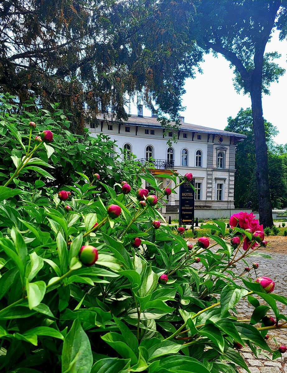 Pałac zza kwitnących piwonii