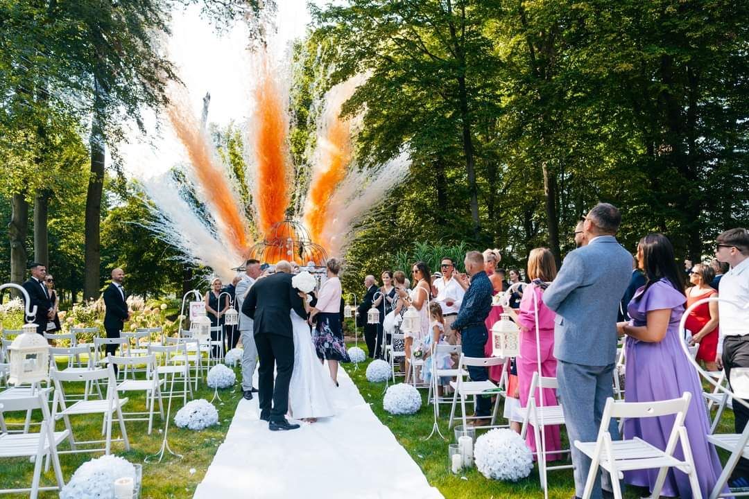 Wyjście pary młodej z armatkami